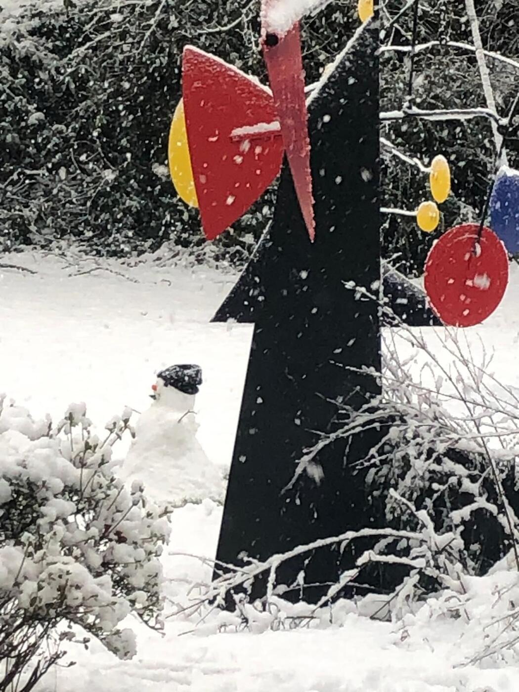 Shaddock dans un jardin enneigé